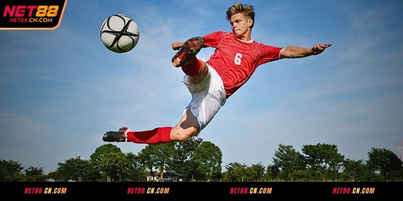Các loại kèo cược Tài Xỉu tại NET88